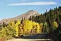 South aspect of Boreas Mountain viewed from Boreas Pass Road