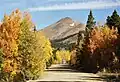 South aspect of Boreas Mountain viewed from Boreas Pass Road