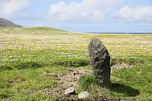 Standing stone on Barra