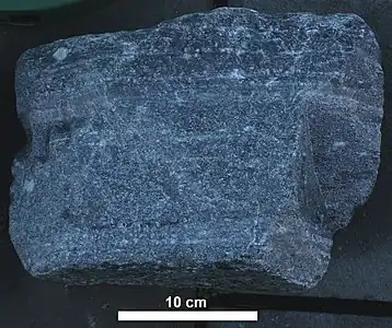 Gneiss sample