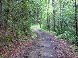 Bote Mountain Trail