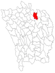 Location in Vaslui County