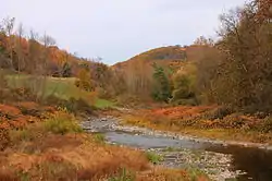 Bowman Creek in Eaton Township