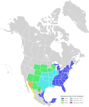 Distribution map