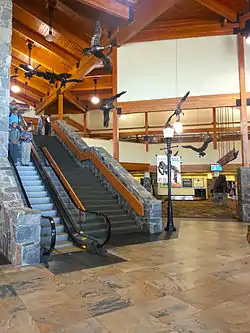 Flock of Geese in Bozeman Yellowstone International Airport terminal