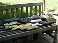 Wellington boots drying on a bench