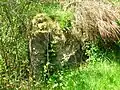 An exposed portion of the old loading dock in the goods yard area.