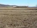 Bottomland with power plant in background