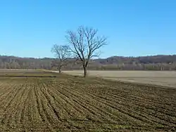 Brazeau Bottoms in winter