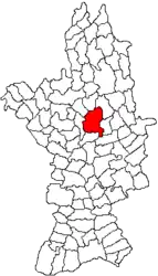 Location in Olt County