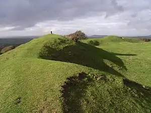 Brent Knoll hillfort and associated field system