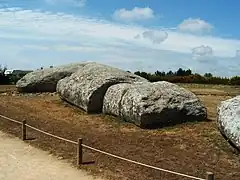 the Great Menhir of Er Grah in Brittany, the largest known single stone erected by Neolithic man, which later fell down