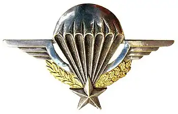 French parachute brevet.