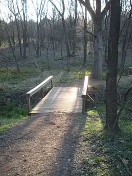 A footbridge over a small stream in a wood