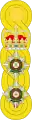 1881 to 1902 colonel's shoulder rank insignia