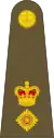 British Army(United Kingdom)(Lieutenant Colonel)