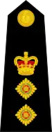 Colonel