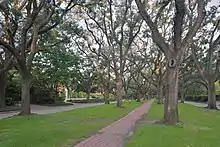 Photo of a grassy esplanade in the Broadacres subdivision of Houston