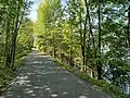 Brome Lake walking path