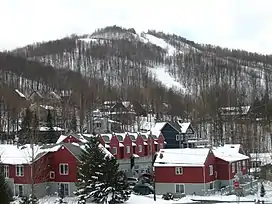 Mont Brome overlooking the city