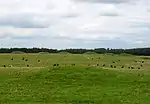 Pair of bowl barrows 405 m east of East Water Drove (Part of Priddy Nine Barrows Cemetery)