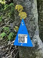 QR code for tracking tunnel