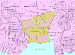 U.S. Census map