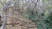 Brookmill Road Local Nature Reserve