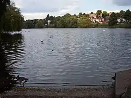 A lake with trees and houses on the far shore