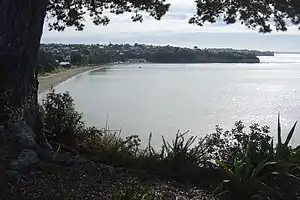 Browns Bay and the beach from above.