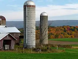 Farm in Brunswick