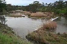 Upstream from Buckley Falls on the Barwon River