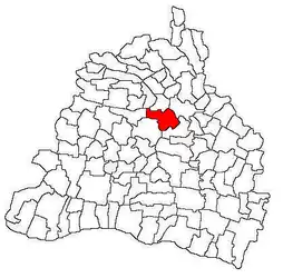 Location in Dolj County