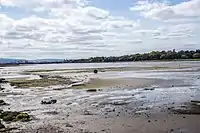 Bull Island Nature Reserve