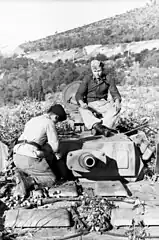 Panzer III tank equipped with the Nebelwurfgerät.