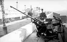 single barrelled gun with sentry behind large commercial ships in the background