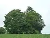 Tumulus van Vissoul en omgeving