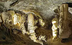 Image 5Postojna Cave (from Tourism in Slovenia)