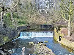 The old weir on the River Brun near Bank Hall in Burnley.