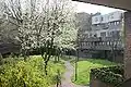 An example of one of the internal courtyards within South Quay Estate