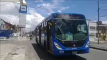 blue SITP urban bus