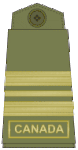 Olive green uniform (old insignia)