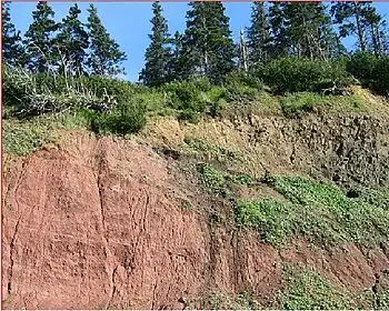 Basal contact of a lava flow section of Fundy basin