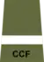 CCF AUO rank slide