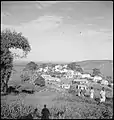 View of the village.