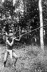 Dayak man hunting with blowpipe