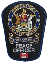 Current shoulder patch of the CVSE