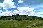 Cadapdapan Rice Terraces