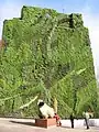 The vertical garden of CaixaForum Madrid at its creation in 2007.