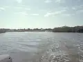 Caladesi Park's boat marina, in the distance; the low shoreline trees are mangroves.